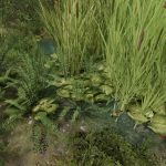 1715510419 343 frogs for pond v1.0 fs22 1