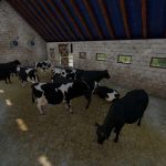 1715818639 43 cow barn v1.0 fs22 1