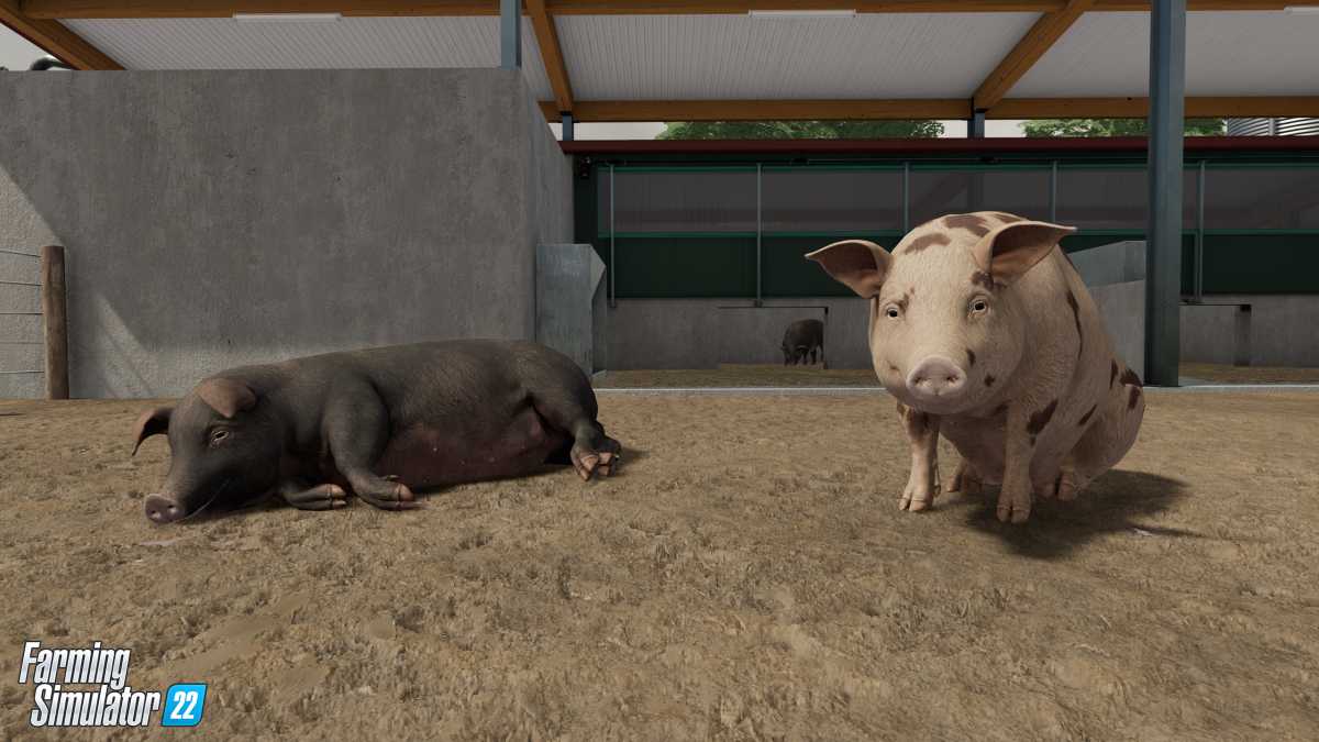 Animals Wildlife in Farming Simulator 22 13