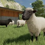 Animals Wildlife in Farming Simulator 22 5