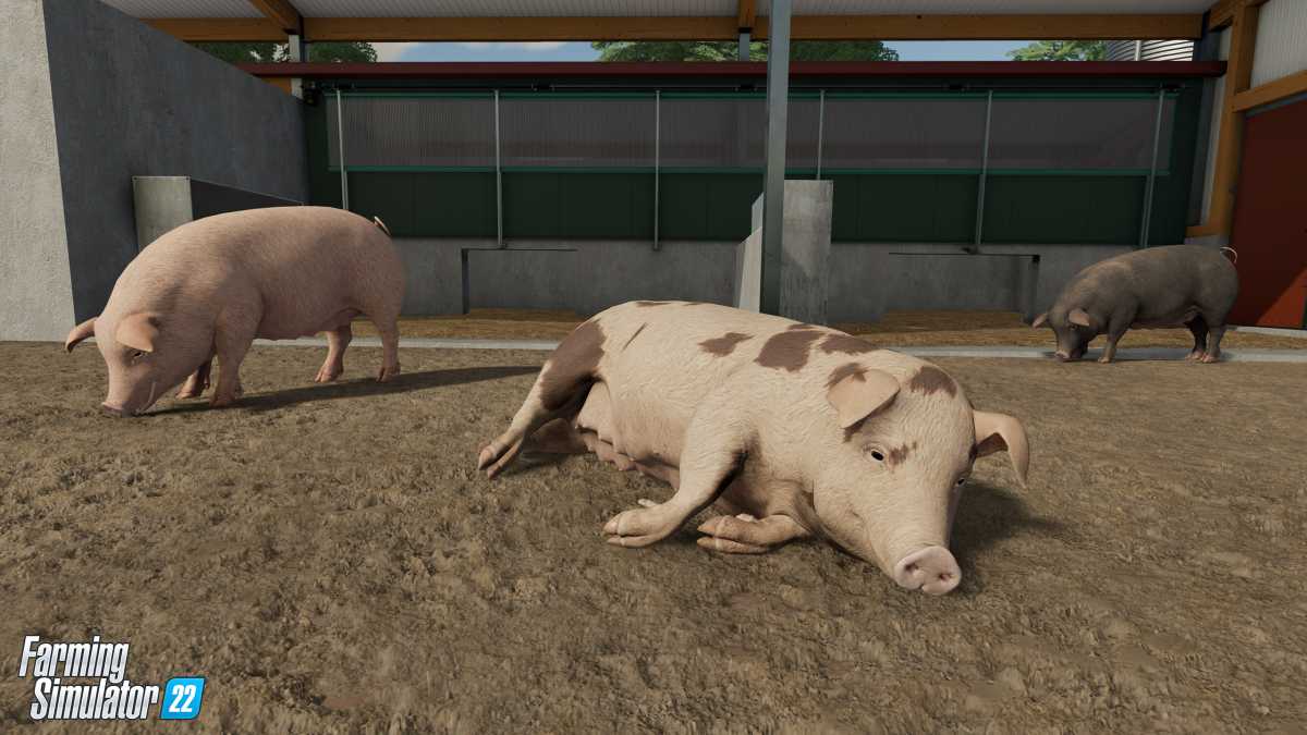 Animals Wildlife in Farming Simulator 22 7