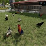 Chicken Barn Big v1.0 FS22 1