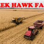 CreekHawk Farm v1.0.5.0 FS22 2