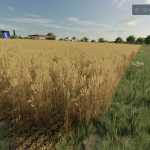 additional field info fs22 v1.0 fs22 1