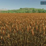 additional field info v1.0.2 fs22 4