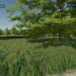 agricultural land v1.0.1 fs22 9