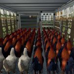 animal transport trailer pack v1.0 fs22 3