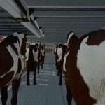 animal transport trailer pack v1.0 fs22 5