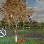 apple tree beta v1.0 fs22 3