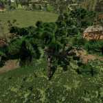 araucarias v1.0 fs22 1