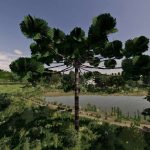 araucarias v1.0 fs22 2