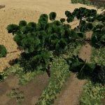 araucarias v1.0 fs22 3