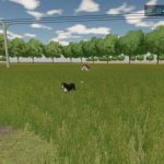 ashbocking full release v1.0 fs22 9