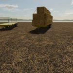 bale trailer lizard sp8 v1.0 fs22 3