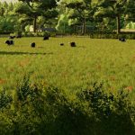 ballyspring map v1.0 fs22 6