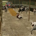 ballyspring v2.0.0.2 fs22 6