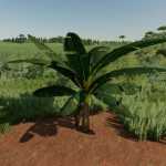 banana tree v1.0 fs22 1