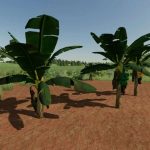 banana tree v1.0 fs22 2