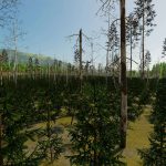 beaver hollow v1.0.1.1 fs22 10