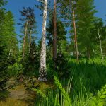 beaver hollow v1.0.1.1 fs22 11