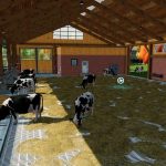 big cow barn v1.0 fs22 5