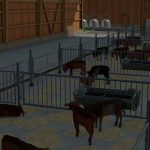 bullstable v1.0 fs22 3