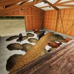 cattle barn and manure heap v1.0 fs22 6