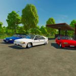 citroen bx 16 v2.0 fs22 5