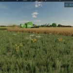 compass v1.0 fs22 2