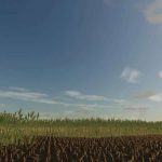 corn maze v1.0 fs22 4