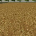 cottage farm v1.0 fs22 3