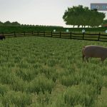 country farm demo fashion v1.0 fs22 3