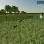 country farm demo fashion v1.0 fs22 6