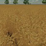 country farm v1.0 fs22 6