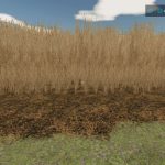 country farm v1.0 fs22 7