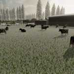 cow pasture v1.0 fs22 1