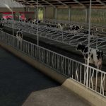 cowshed 3 2B0 v1.1 fs22 5