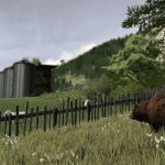 decorative placeable grizzly bears pack v1.0 fs22 2