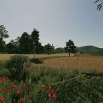 delusion map v1.0 fs22 3