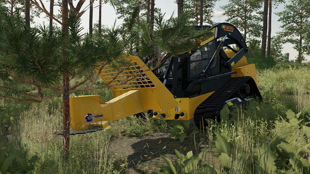 dfm tools v1.0 fs22 1