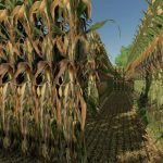 diy corn maze v1.0 fs22 6