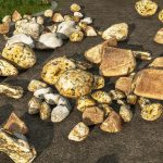 dynamic rocks v1.0 fs22 2