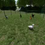 enhanced animal system v2.0 fs22 1