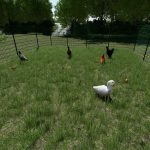 enhanced animal system v2.1 fs22 4