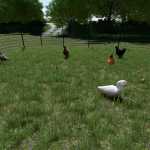 enhanced animal system v2.2.0.1 fs22 1