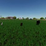 enhanced animal system v2.2.0.1 fs22 2