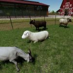 enhanced animal system v2.2.0.1 fs22 5