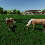 enhanced animal system v2.2.0.1 fs22 6