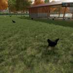 extra large chicken coop for 10000 animals v1.0 fs22 1