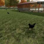 extra large chicken coop for 25000 animals v1.0.0.3 fs22 1